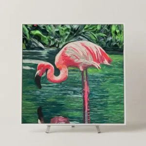 flamant rose